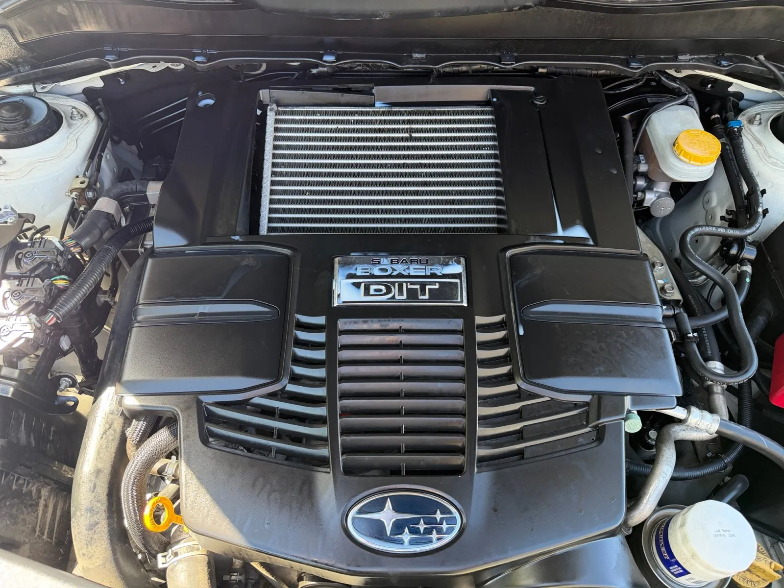Subaru Forester photo 37