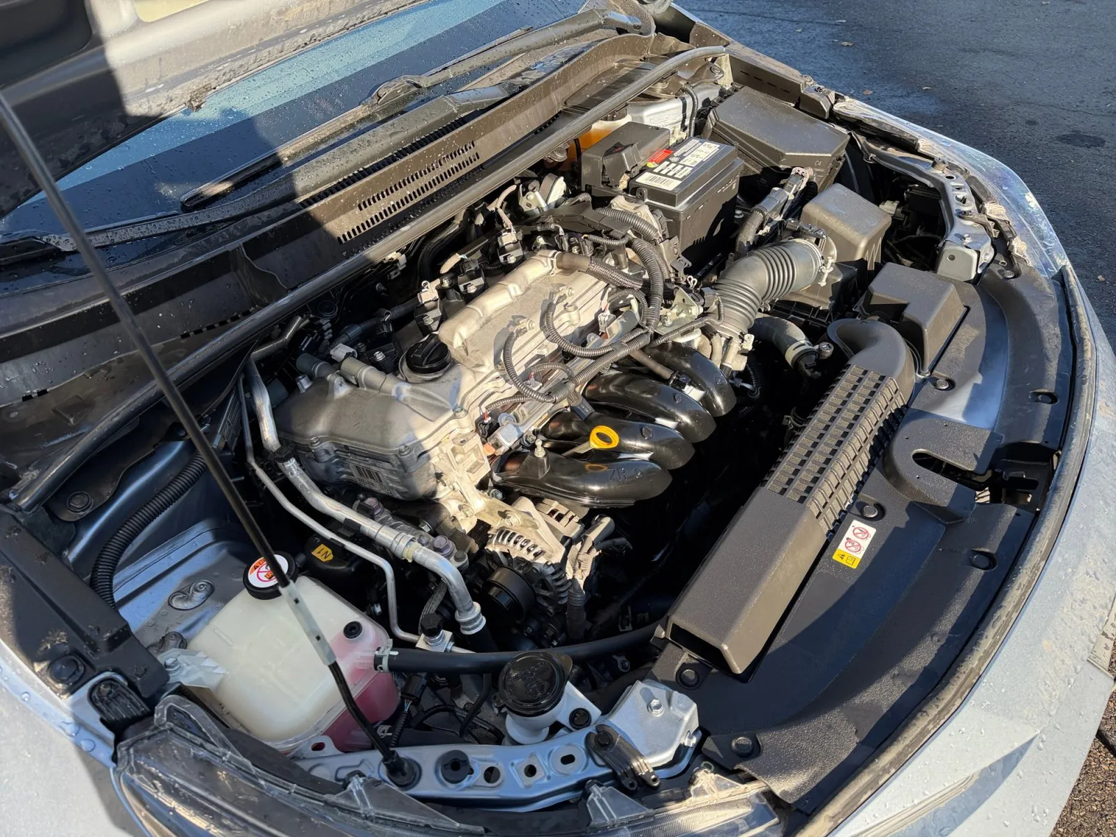 Toyota Corolla photo 32