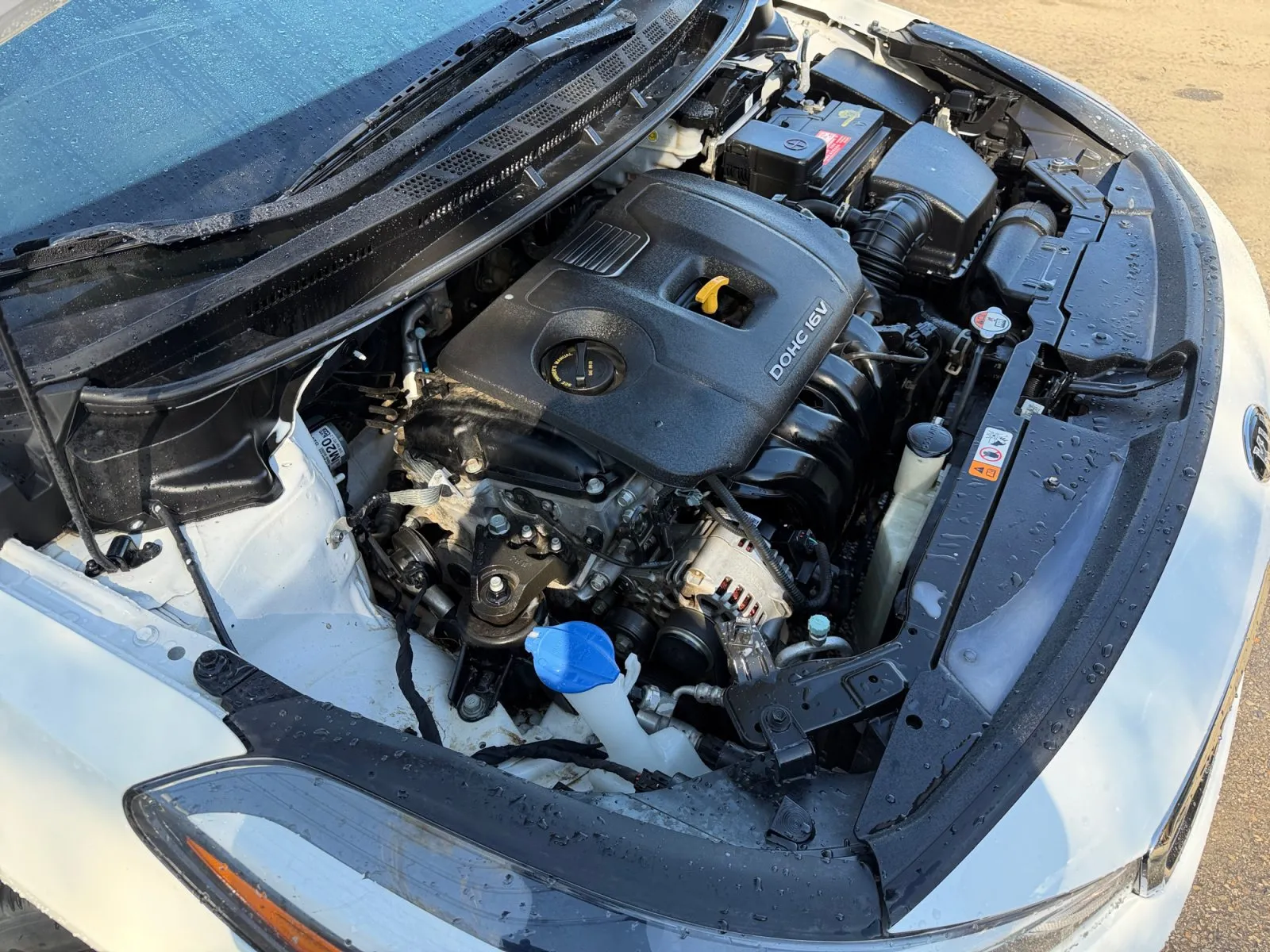 Kia Forte photo 30