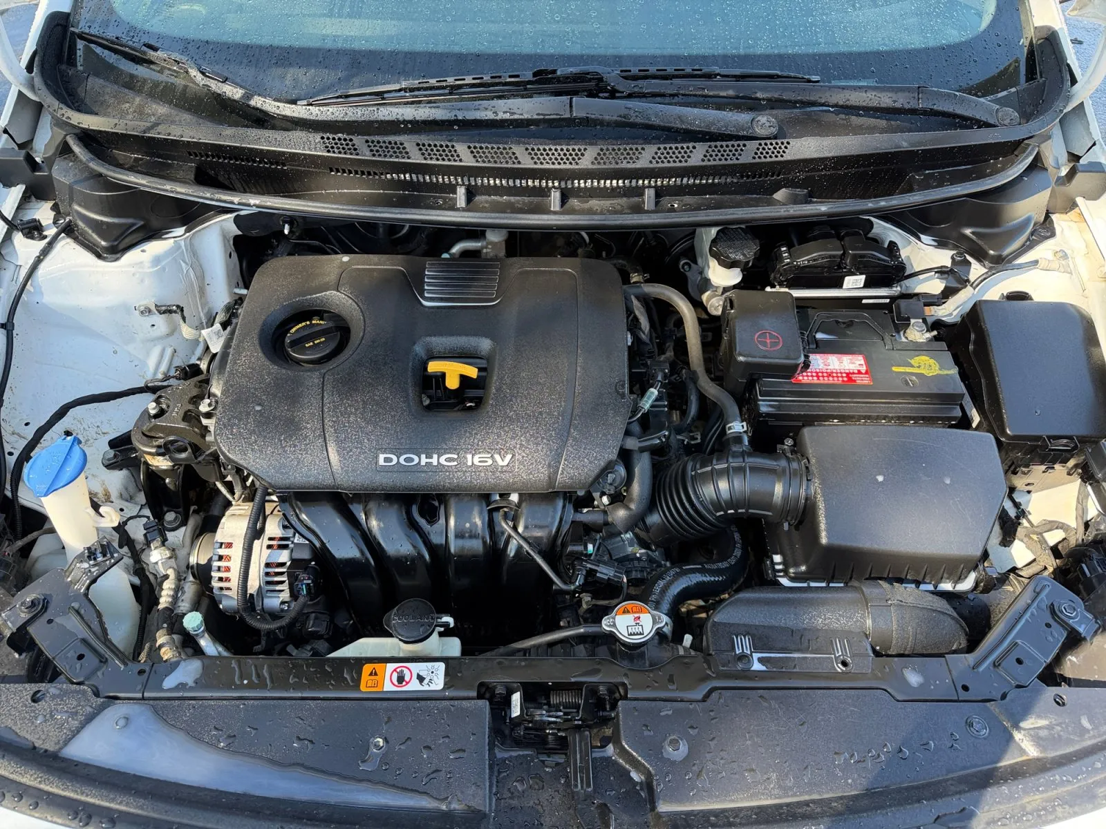 Kia Forte photo 31