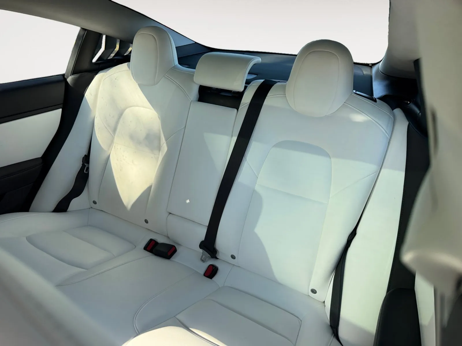 Tesla Model 3 photo 13
