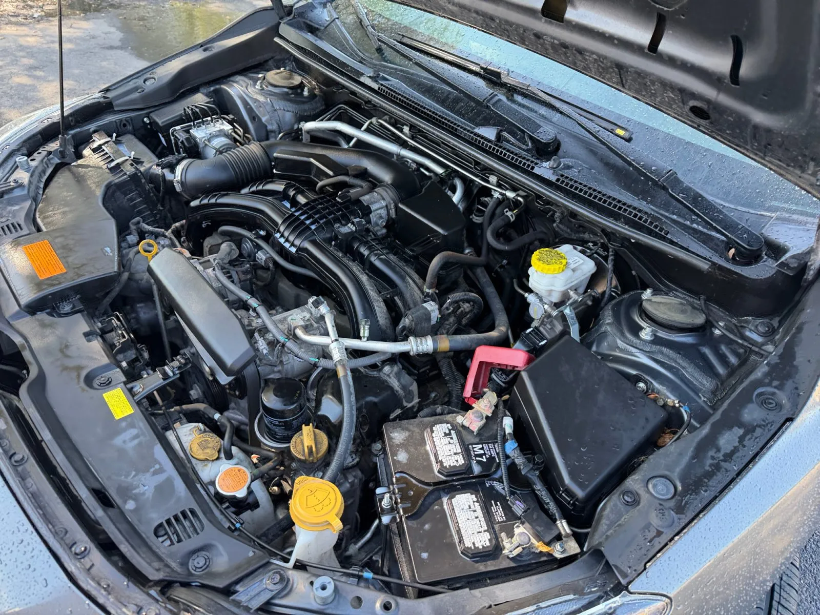 Subaru Impreza photo 35