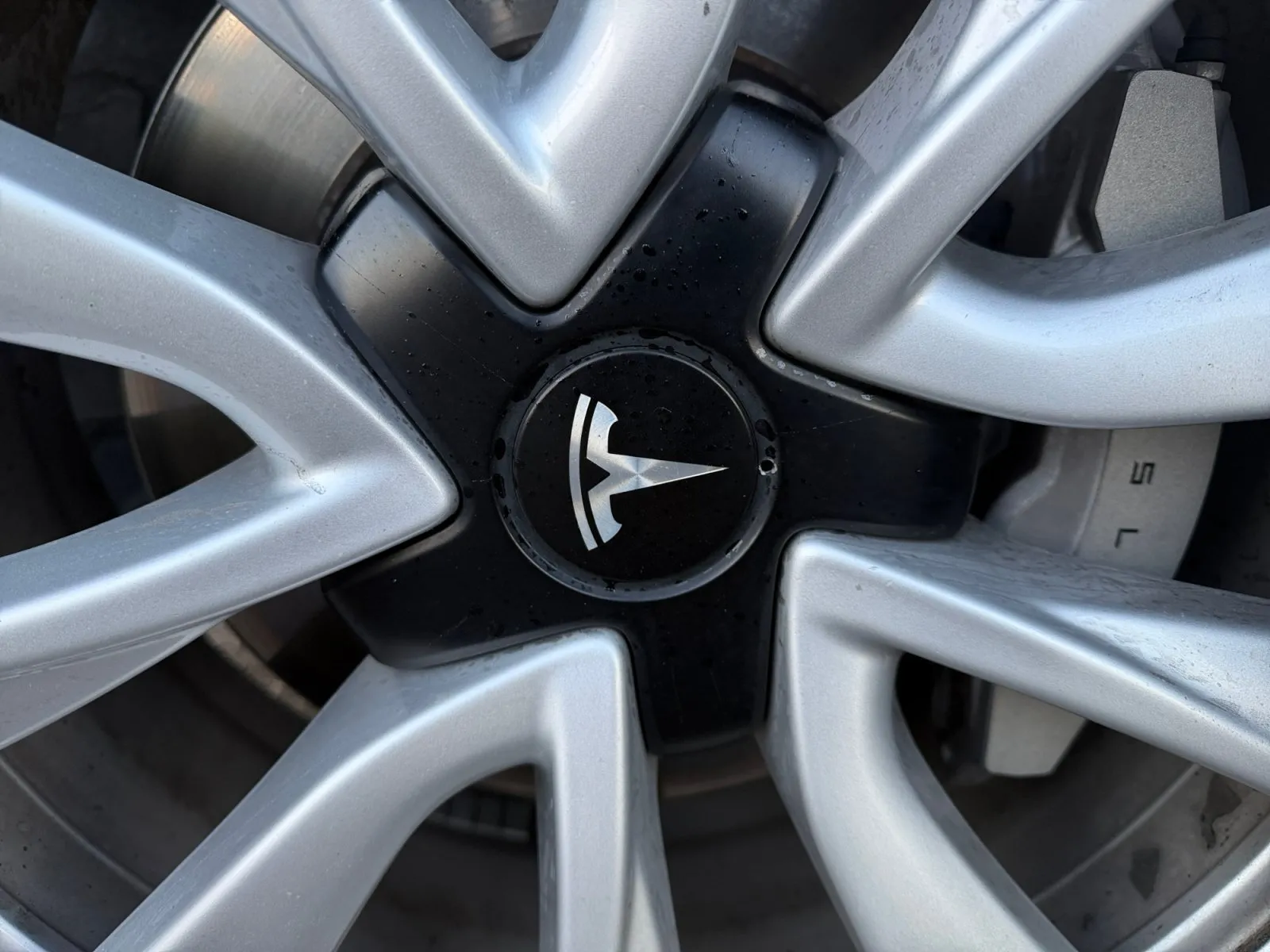 Tesla Model 3 photo 32