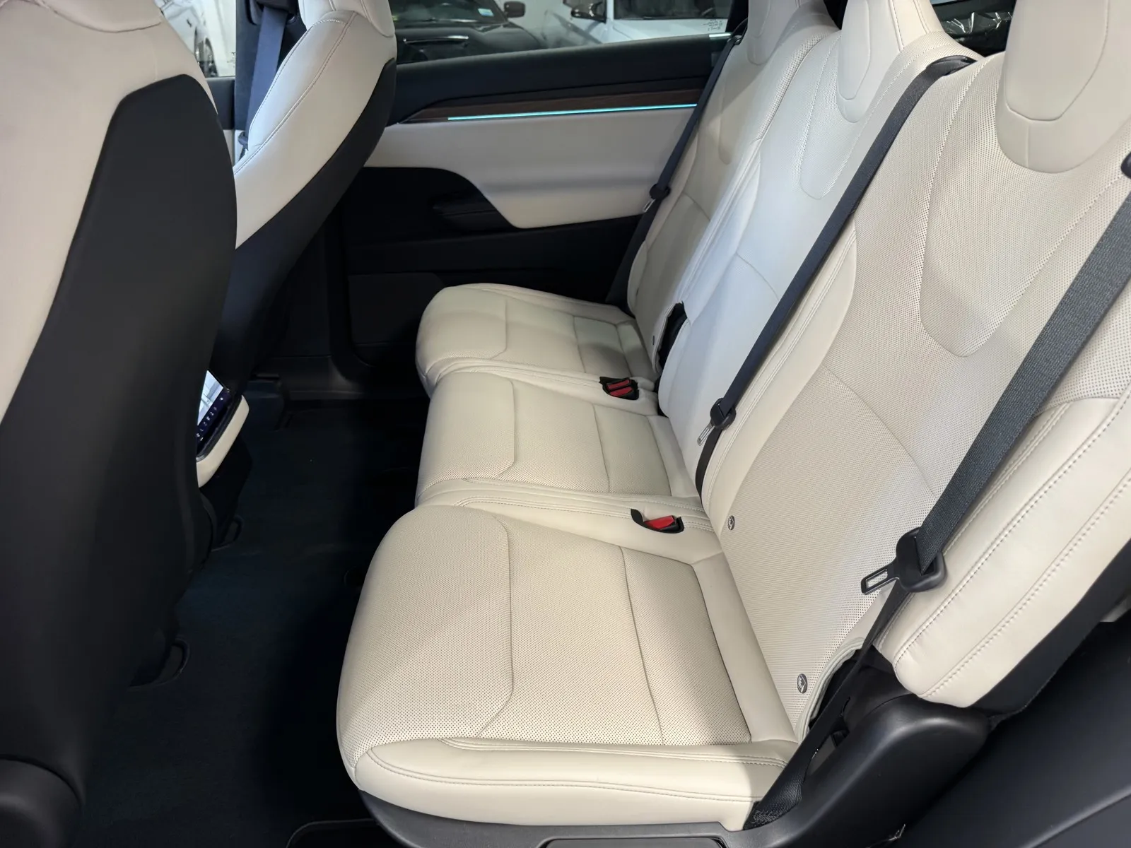 Tesla Model X photo 9