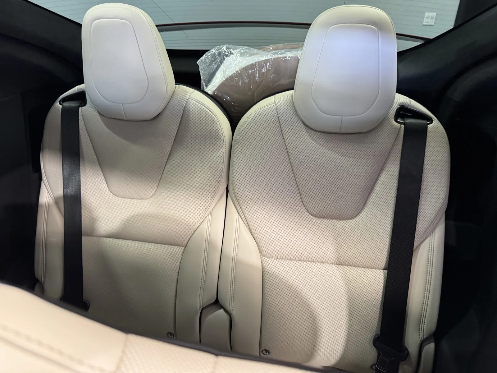 Tesla Model X photo 10