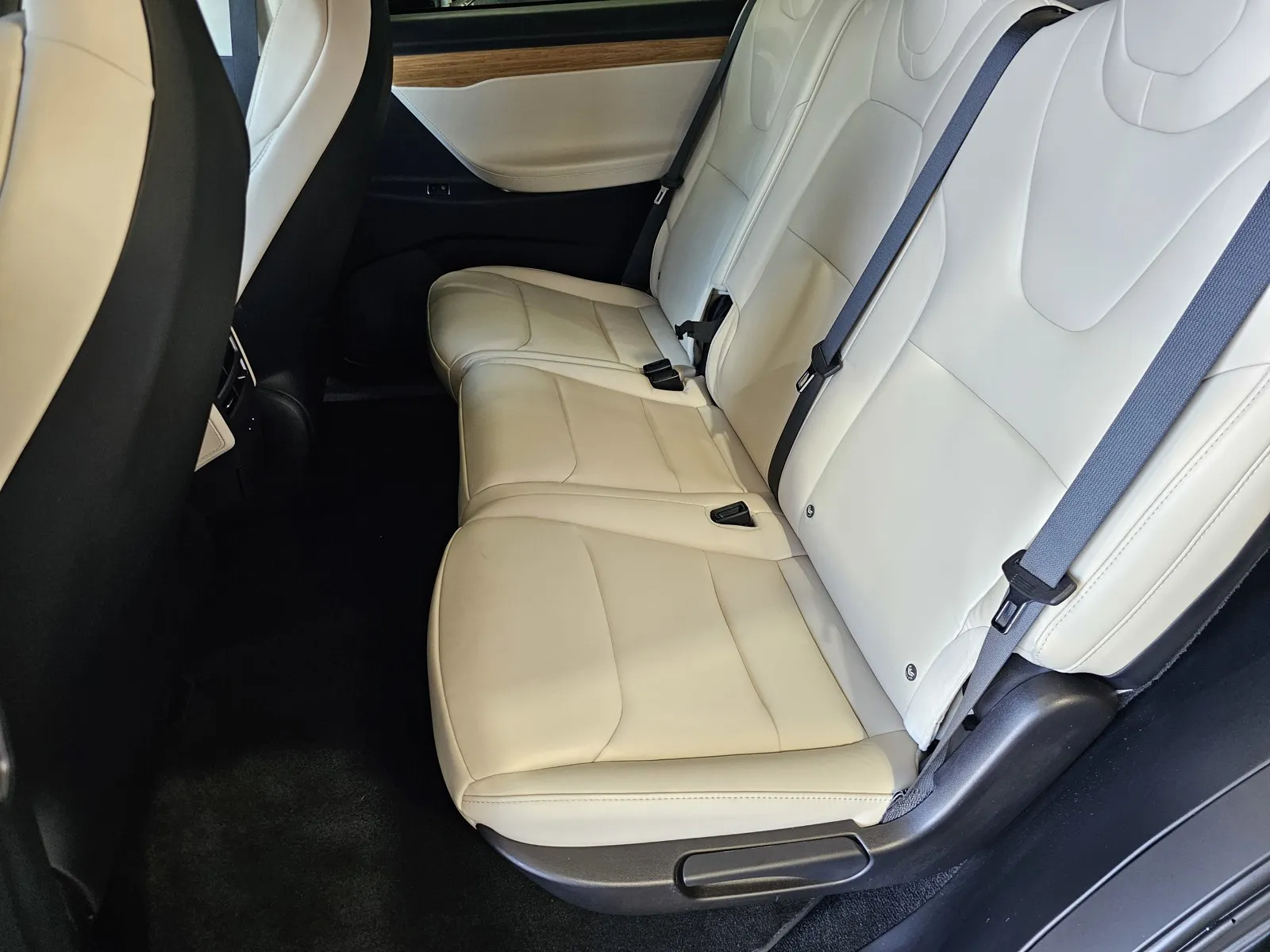 Tesla Model X photo 10