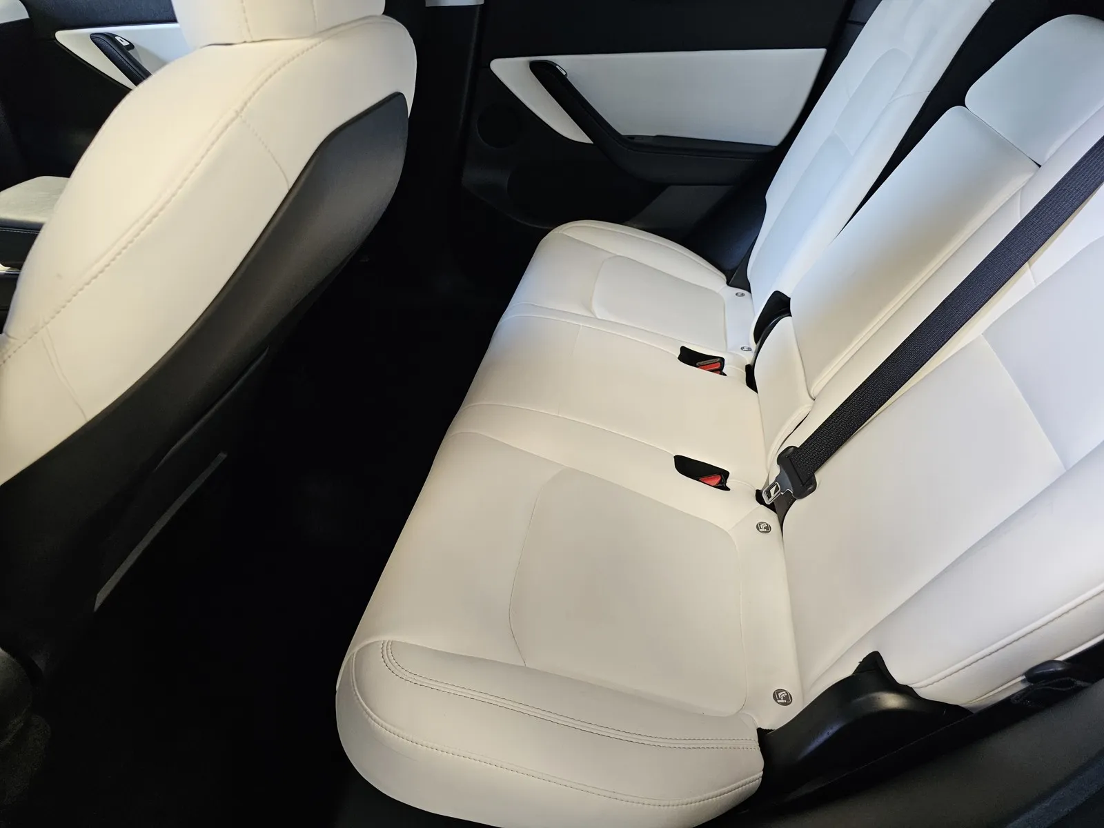 Tesla Model Y photo 12