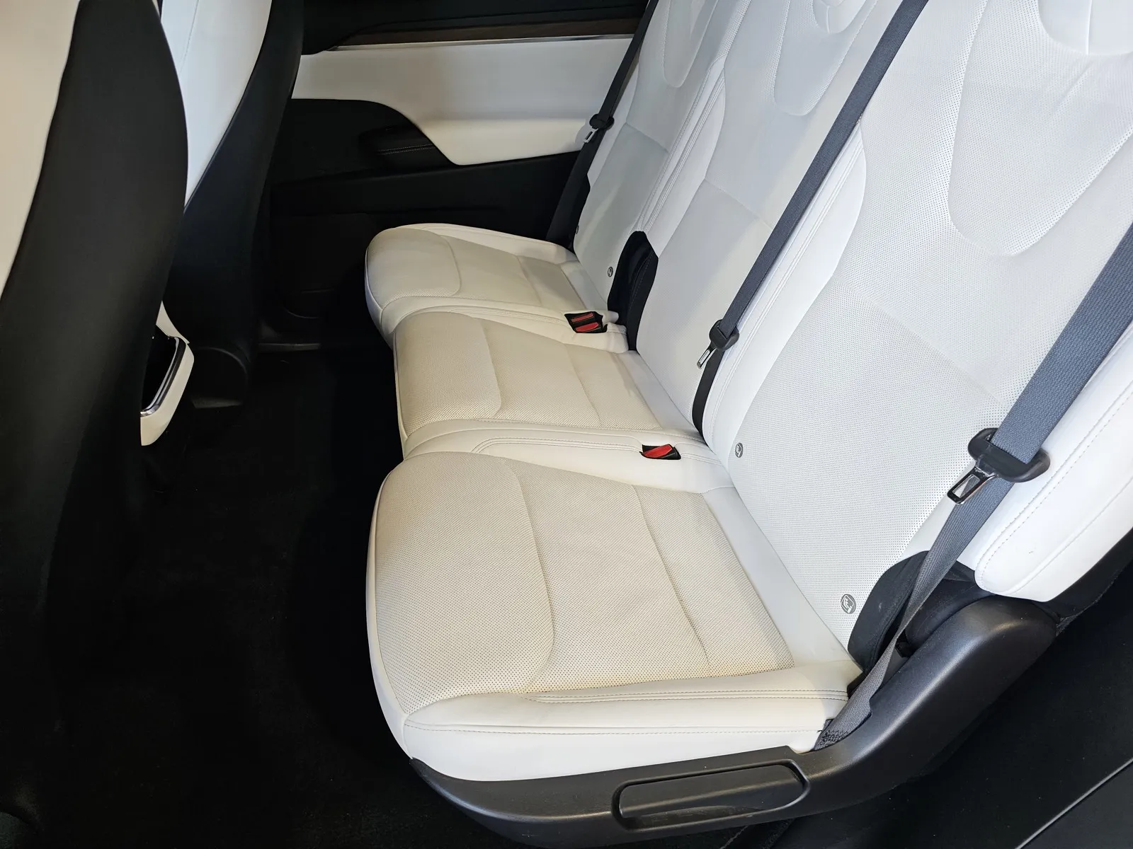 Tesla Model X photo 10