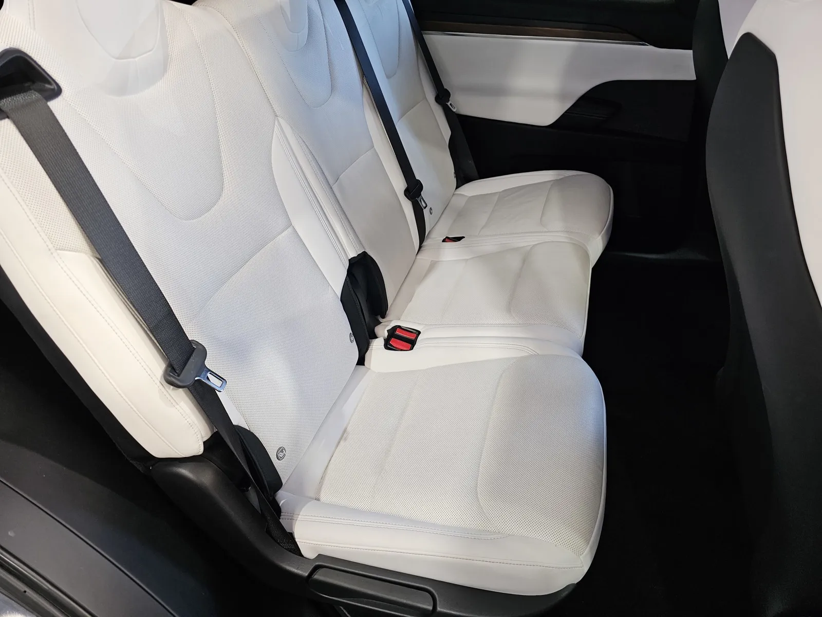 Tesla Model X photo 8