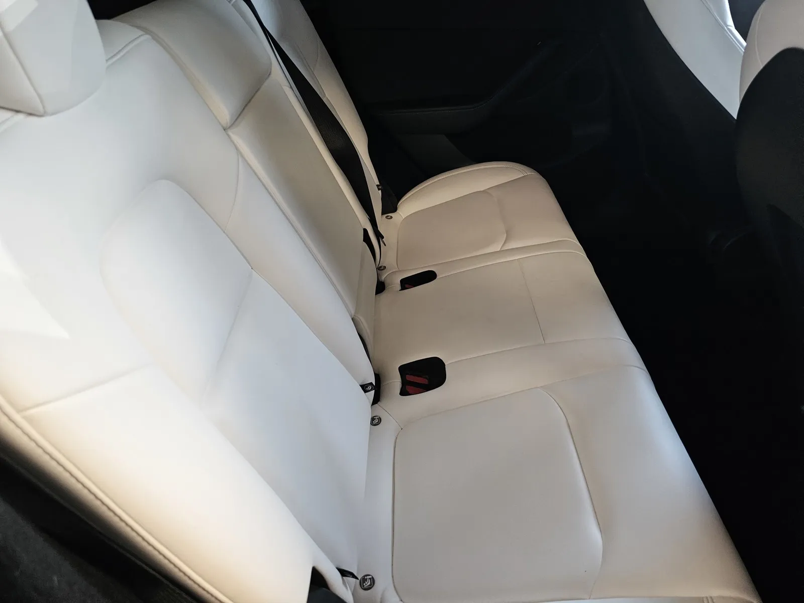 Tesla Model Y photo 9