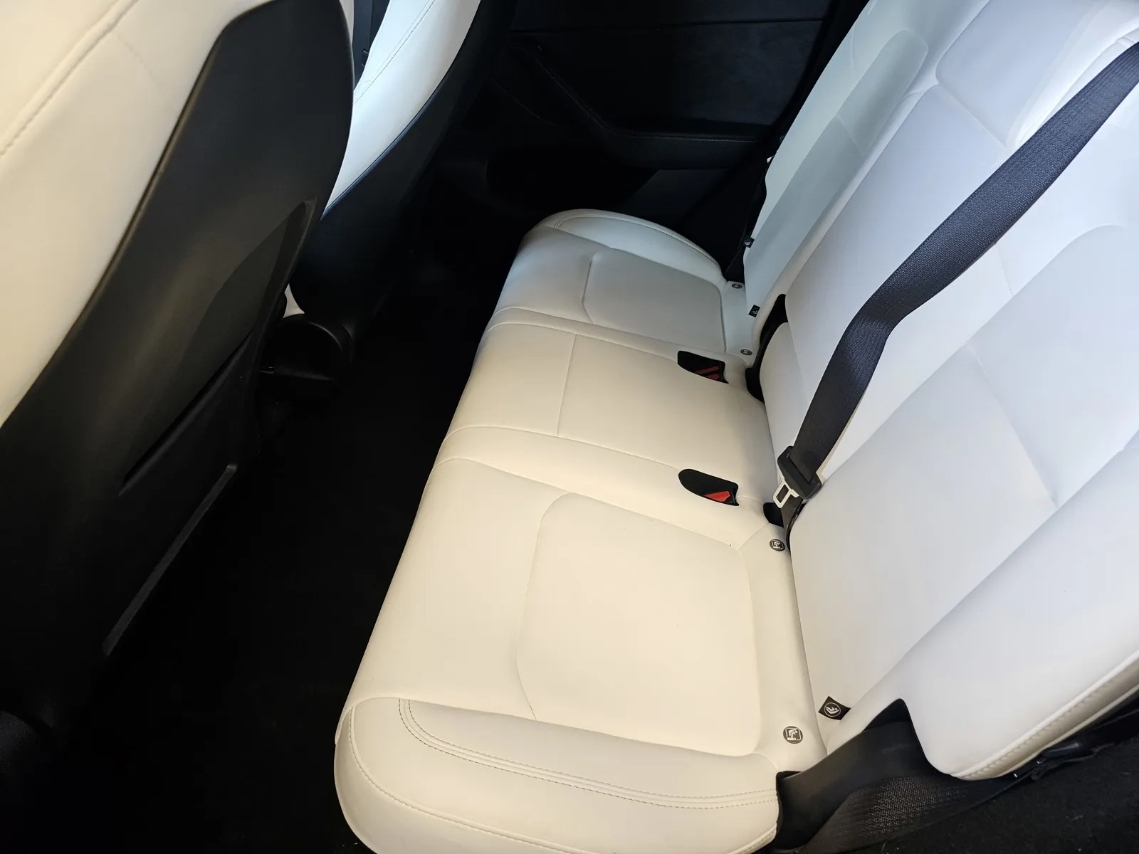 Tesla Model Y photo 12