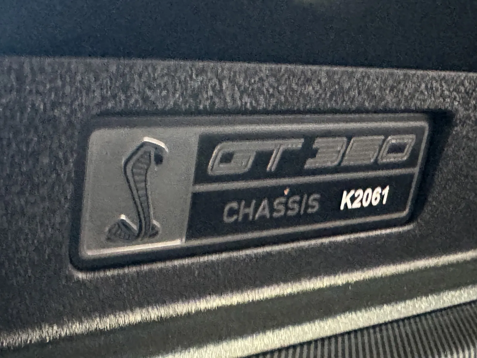 Ford Mustang photo 17