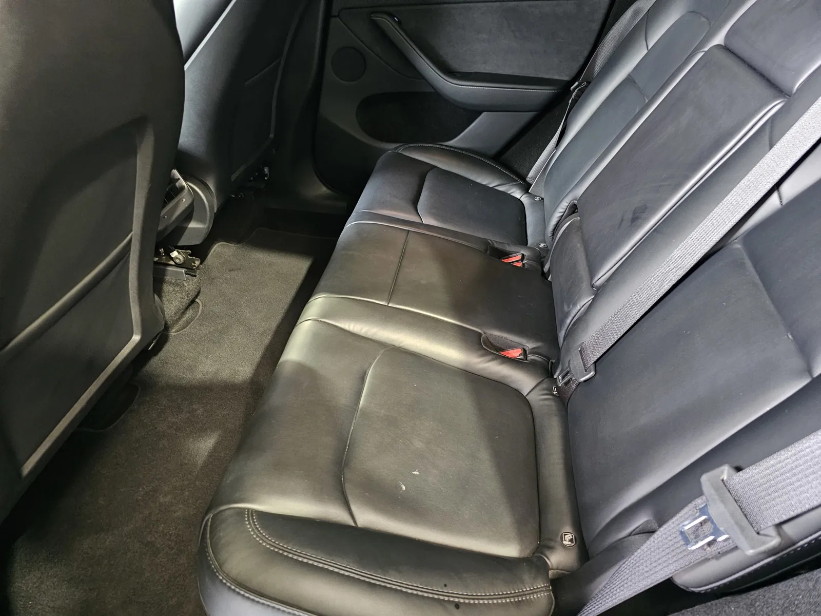 Tesla Model Y photo 12