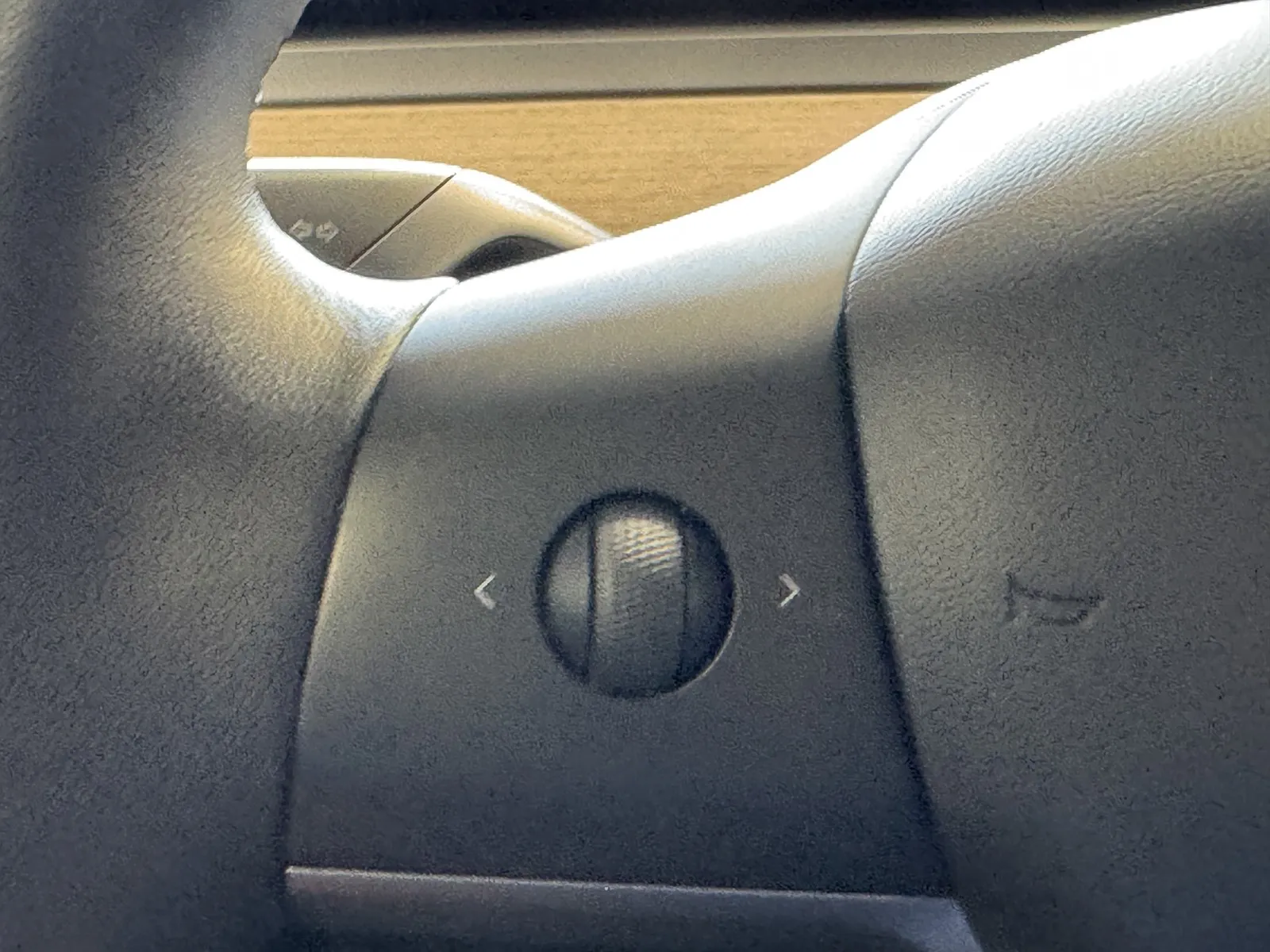 Tesla Model Y photo 19