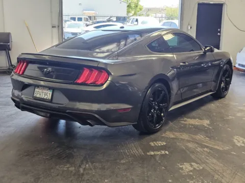 More photos of 2020 Ford Mustang EcoBoost at Premium Autos - Norco, CA