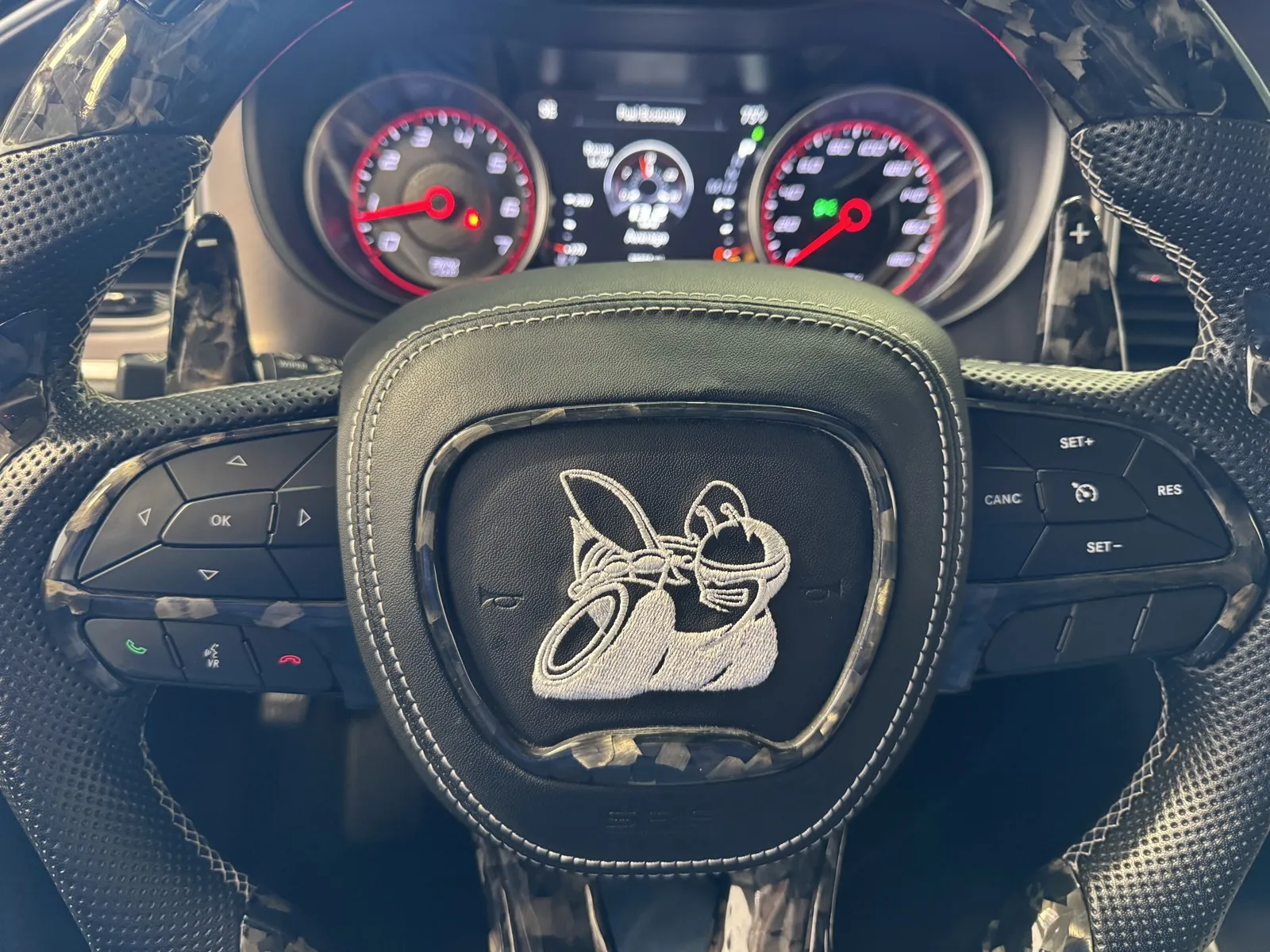 Dodge Charger photo 22
