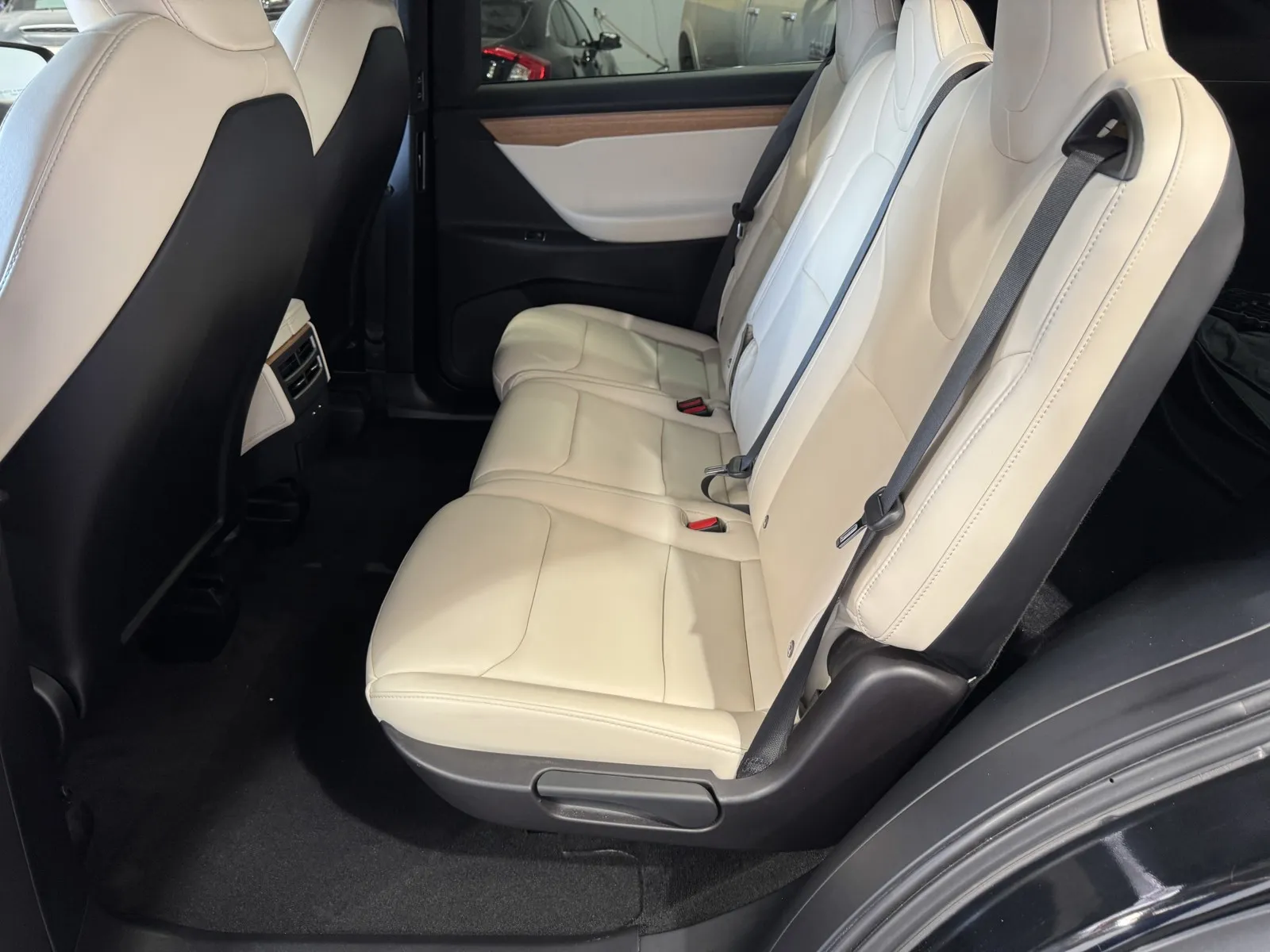 Tesla Model X photo 10