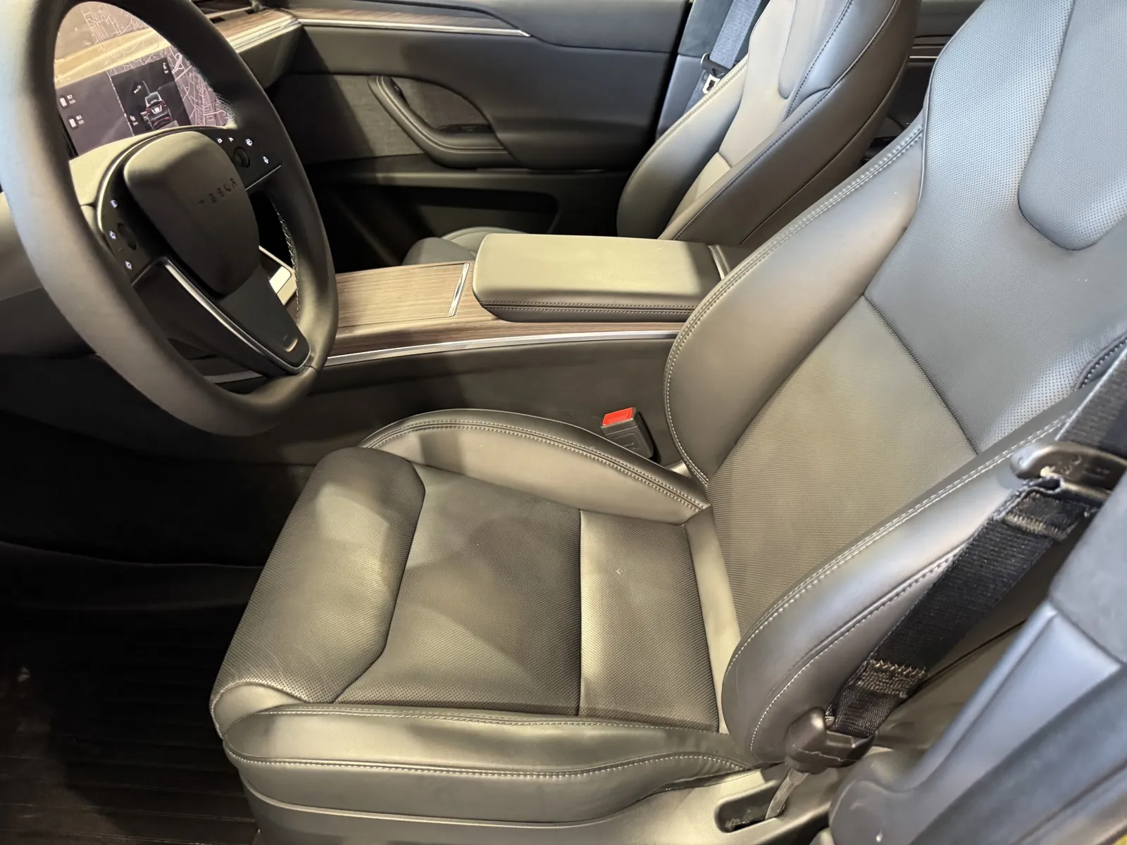 Tesla Model X photo 11