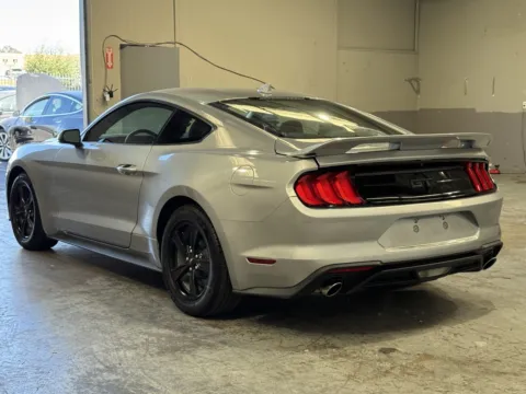 Photos of 2022 Ford Mustang for sale in Norco, CA at Premium Autos - Norco