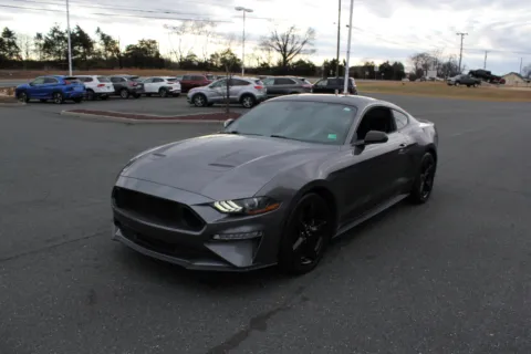 More photos of 2022 Ford Mustang EcoBoost at Cedar Line Automotive, VA