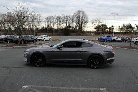 More photos of 2022 Ford Mustang EcoBoost at Cedar Line Automotive, VA