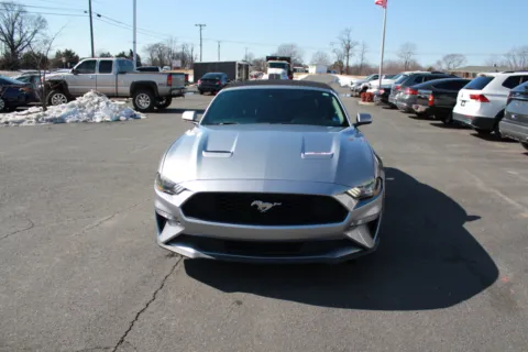 Photos of 2021 Ford Mustang EcoBoost Premium for sale in Spout Spring, VA at Cedar Line Automotive