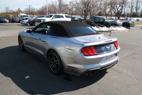 More photos of 2021 Ford Mustang EcoBoost Premium at Cedar Line Automotive, VA