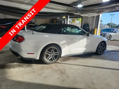More photos of 2021 Ford Mustang EcoBoost Premium at Auto Boutique Florida, FL