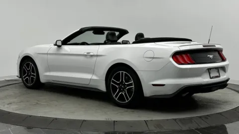 More photos of 2021 Ford Mustang EcoBoost Premium at Auto Boutique Florida, FL