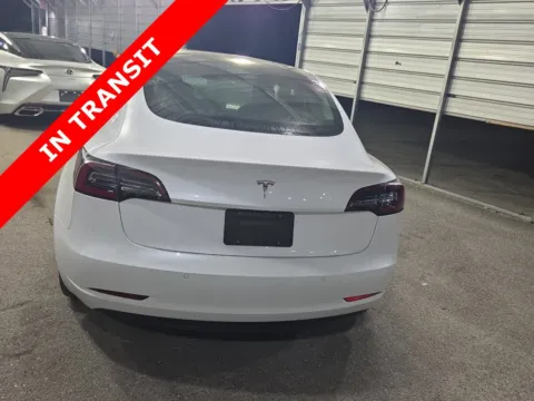 More photos of 2019 Tesla Model 3 Long Range at Auto Boutique Florida, FL