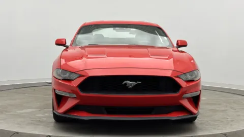 Photos of 2023 Ford Mustang EcoBoost for sale in Jacksonville, FL at Auto Boutique Florida