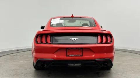 More photos of 2023 Ford Mustang EcoBoost at Auto Boutique Florida, FL