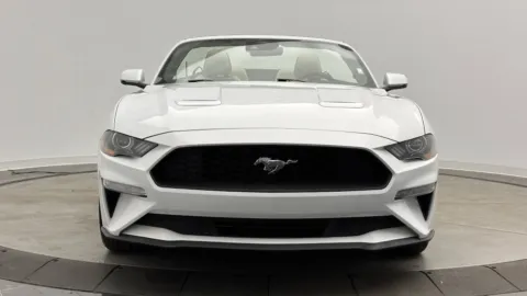 Photos of 2022 Ford Mustang EcoBoost Premium for sale in Jacksonville, FL at Auto Boutique Florida