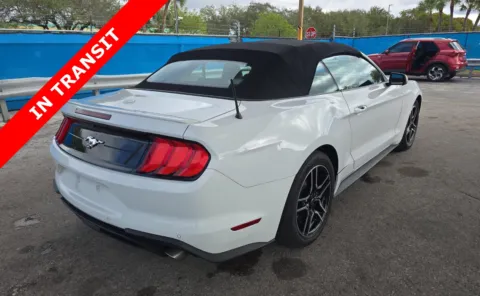 More photos of 2022 Ford Mustang EcoBoost Premium at Auto Boutique Florida, FL