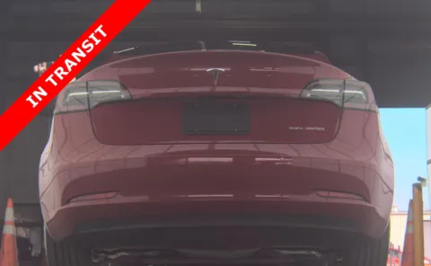 More photos of 2019 Tesla Model 3 Long Range at Auto Boutique Florida, FL