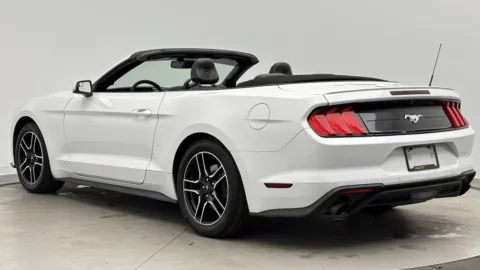 More photos of 2020 Ford Mustang EcoBoost Premium at Auto Boutique Florida, FL