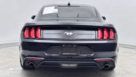 More photos of 2020 Ford Mustang EcoBoost at Auto Boutique Florida, FL