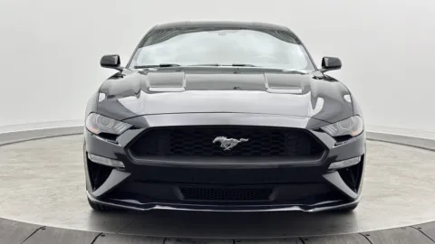 Photos of 2020 Ford Mustang EcoBoost for sale in Jacksonville, FL at Auto Boutique Florida