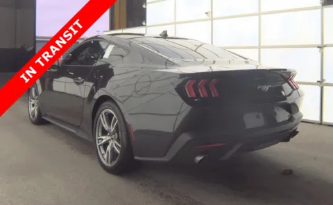 More photos of 2024 Ford Mustang EcoBoost at Auto Boutique Florida, FL