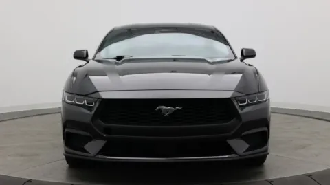 Photos of 2024 Ford Mustang EcoBoost for sale in Jacksonville, FL at Auto Boutique Florida