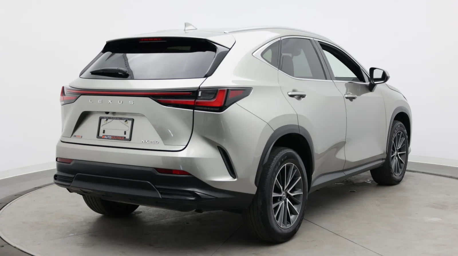 Lexus NX photo 10