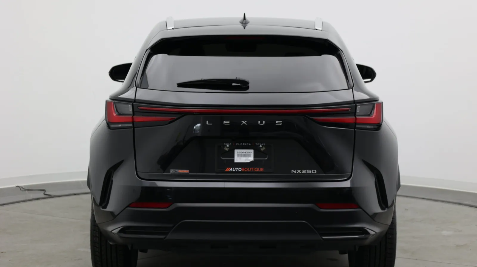 Lexus NX photo 6