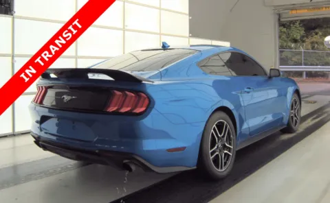 More photos of 2021 Ford Mustang EcoBoost at Auto Boutique Florida, FL