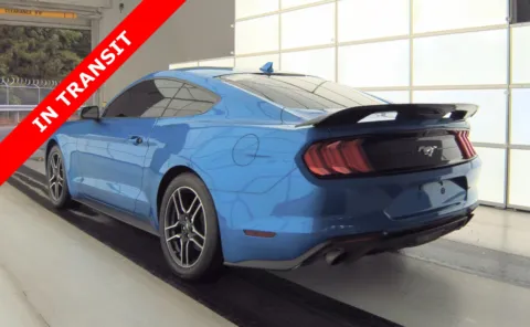 More photos of 2021 Ford Mustang EcoBoost at Auto Boutique Florida, FL