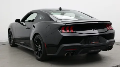 More photos of 2024 Ford Mustang EcoBoost at Auto Boutique Florida, FL
