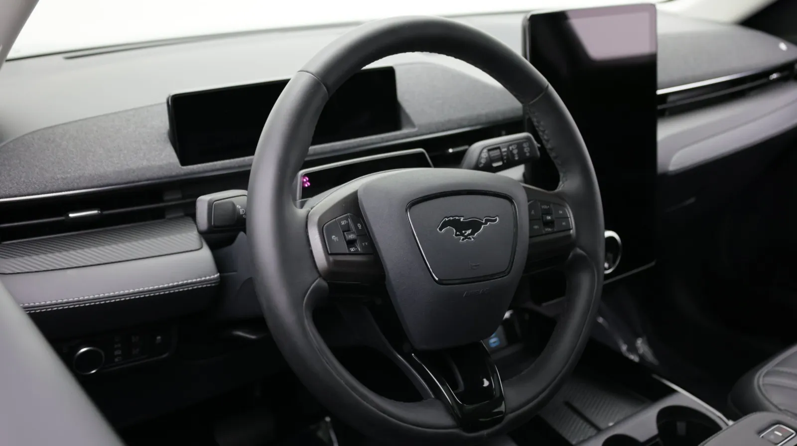 Ford Mustang Mach-E photo 12