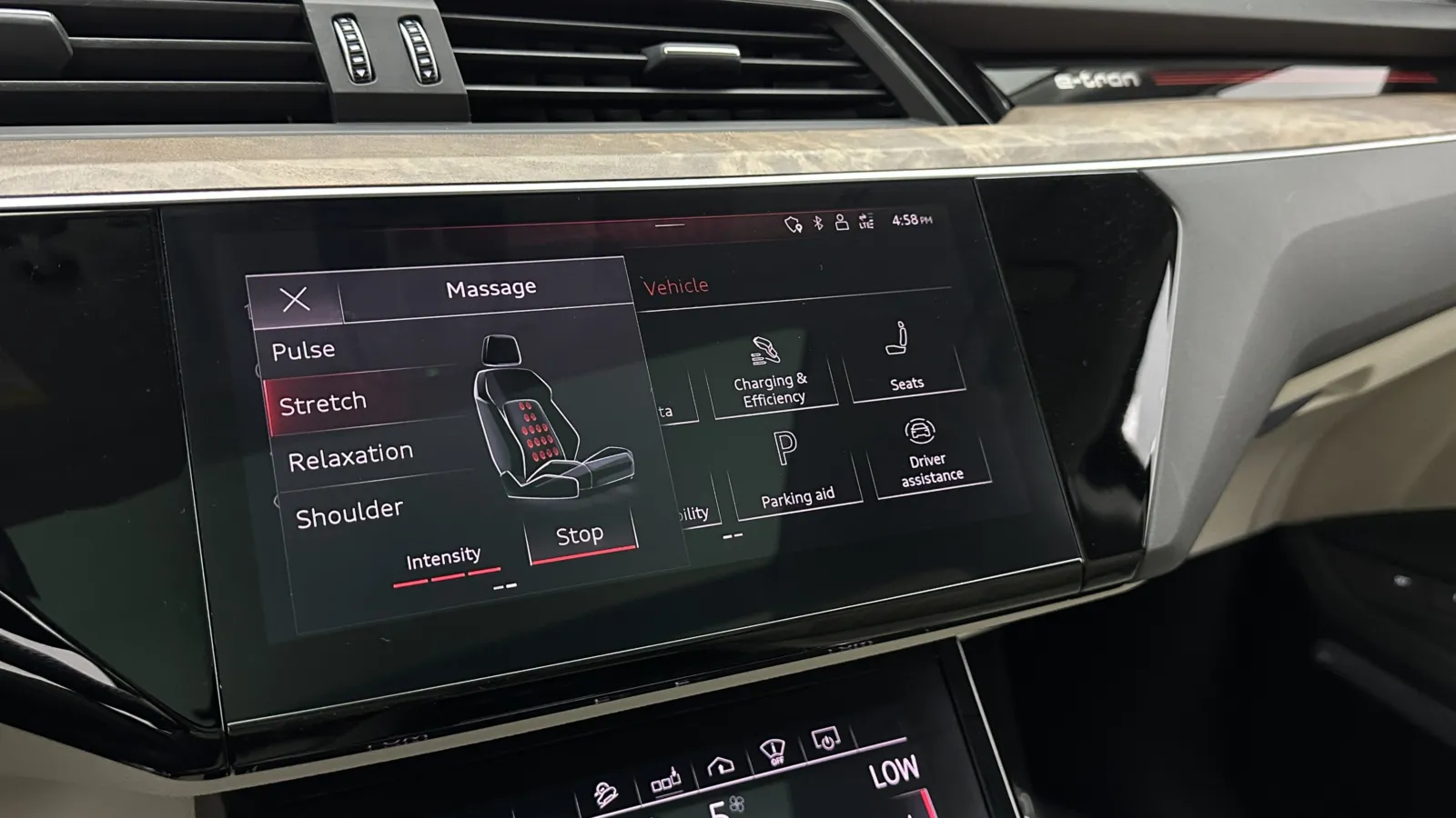 Audi e-tron photo 20