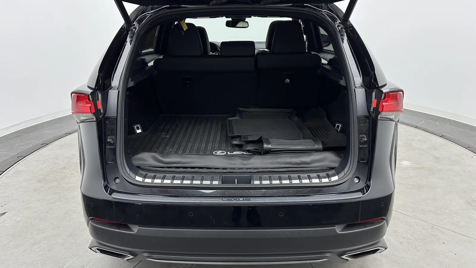 Lexus NX photo 28