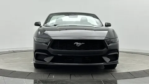 Photos of 2025 Ford Mustang EcoBoost Premium for sale in Jacksonville, FL at Auto Boutique Florida