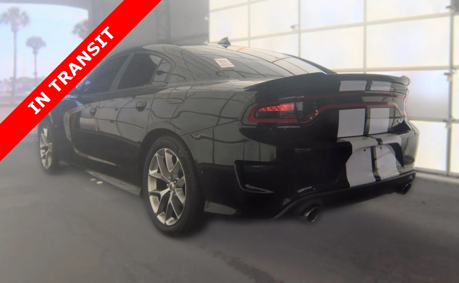 Dodge Charger photo 4